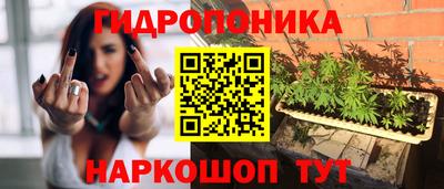 стафф Обнинск