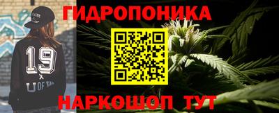 стафф Обнинск