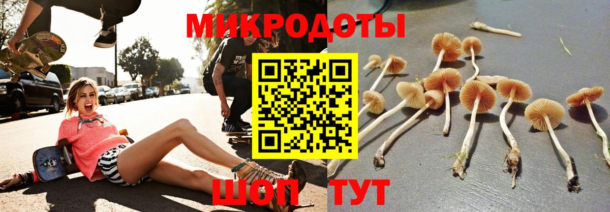 Ступино  Псилоцибиновые грибы GOLDEN TEACHER  Вход с VPN 
